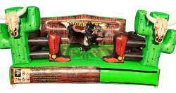 Wild West Bull