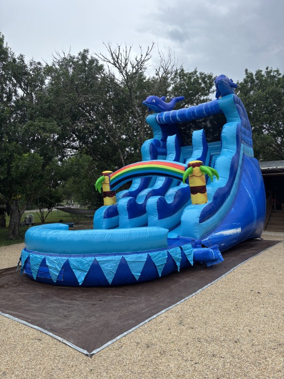17ft Dolphin Drop
